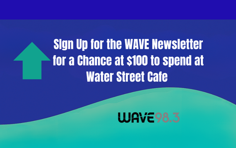 Newsletter 2x